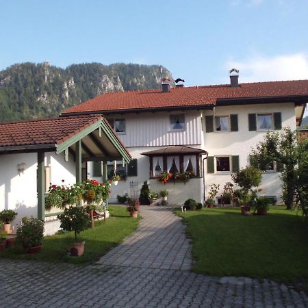Appartement Haus Schmauss - Chiemgau Karte à Inzell Extérieur photo